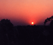 Vh{@Xɒޗ[ Sunset in Sundarban