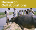 Research Collaborations