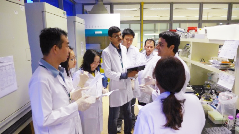 西渕研究室の大学院生Oscar Roberto (ペルー出身、文科省奨学金留学生、写真右上)が、シンガポールで開催されたFAO主催の validationのためのワークショップにおいて、西渕研究室グループが開発した腸炎ビブリオの新しい検査法をアジア諸国からの参加者に紹介し、好評を得ました（2012年 11月 19-24日）。