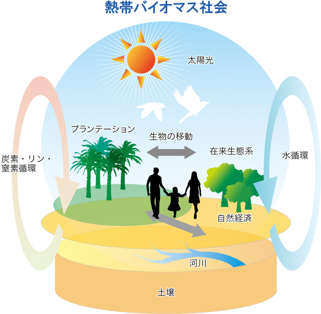 熱帯バイオマス社会_diagram